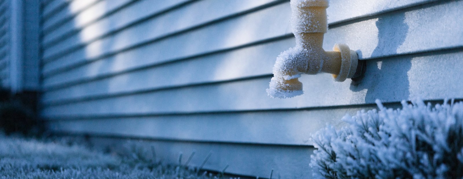 An outdoor spigot on house siding wearing an insulated foam freeze cover, heavy frost on the lawn below